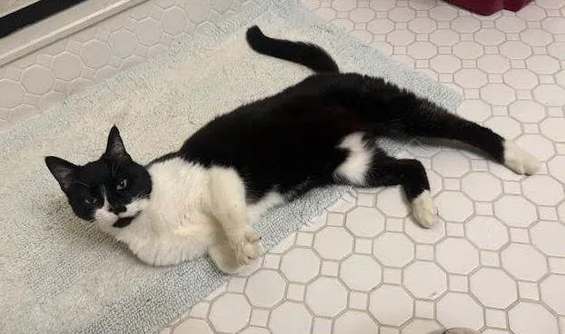 Handy  Willow Grove thumbnail 2