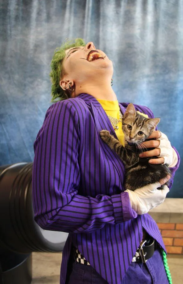 Stephanie Brown thumbnail 2
