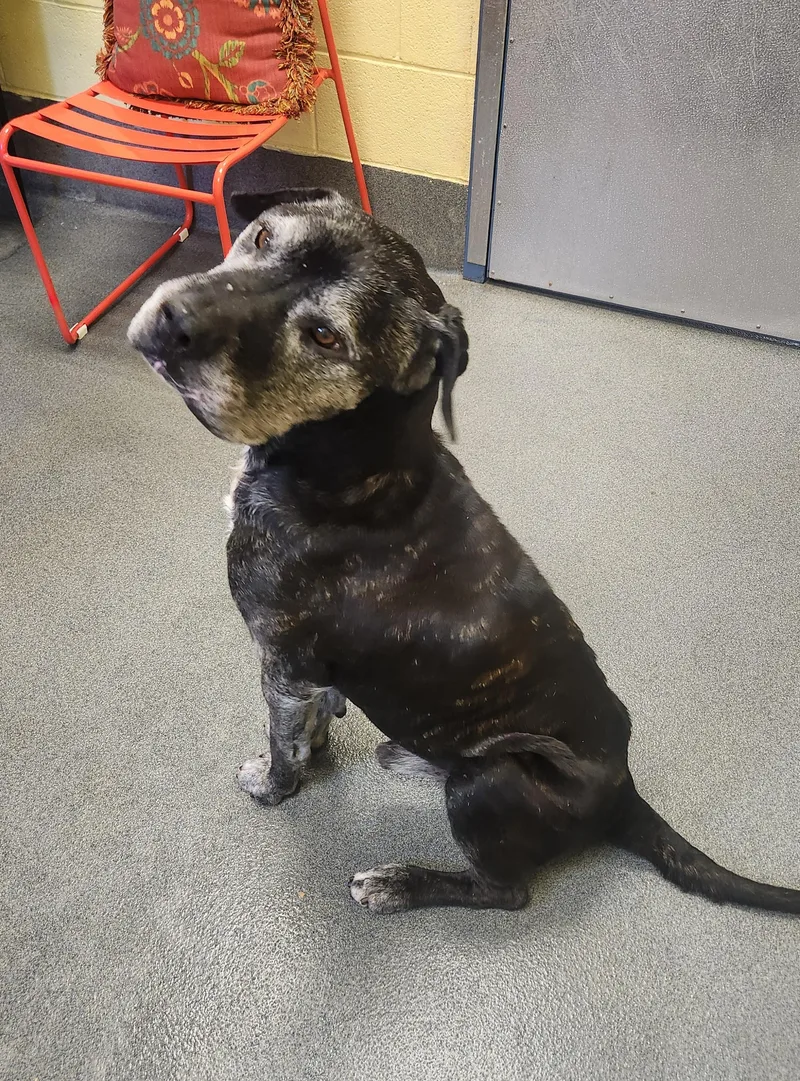 Thor   Yrs. thumbnail 4