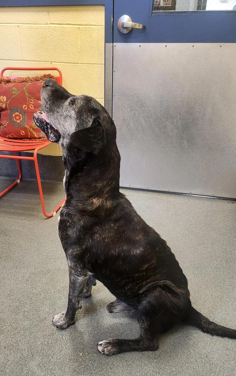 Thor   Yrs. thumbnail 5