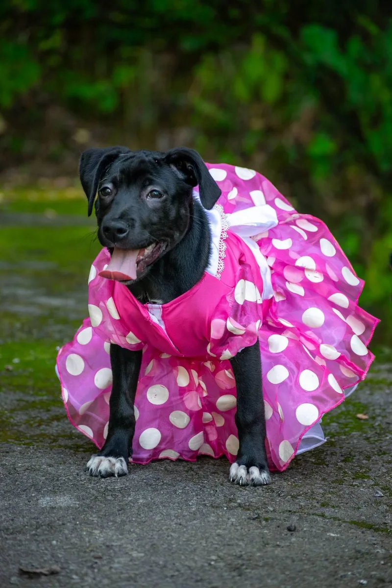Minnie Winnie thumbnail 2