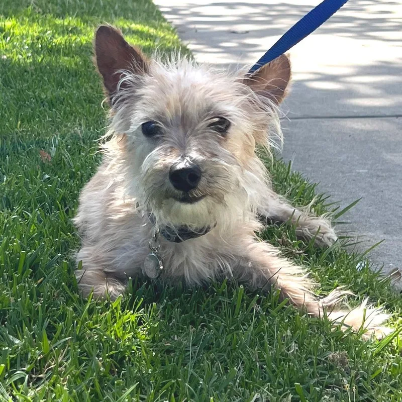 Manny City Of Industry