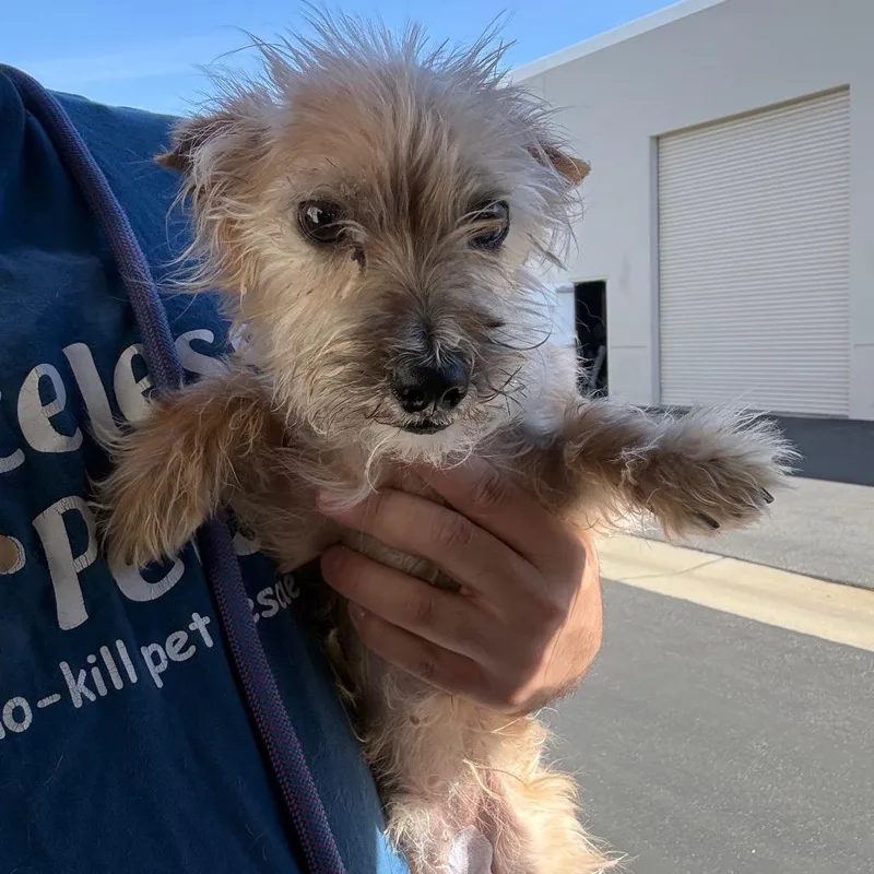 Manny City Of Industry thumbnail 2