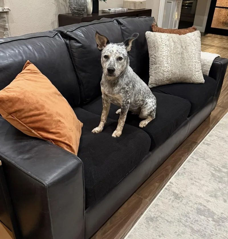 Laney Wilson thumbnail 3