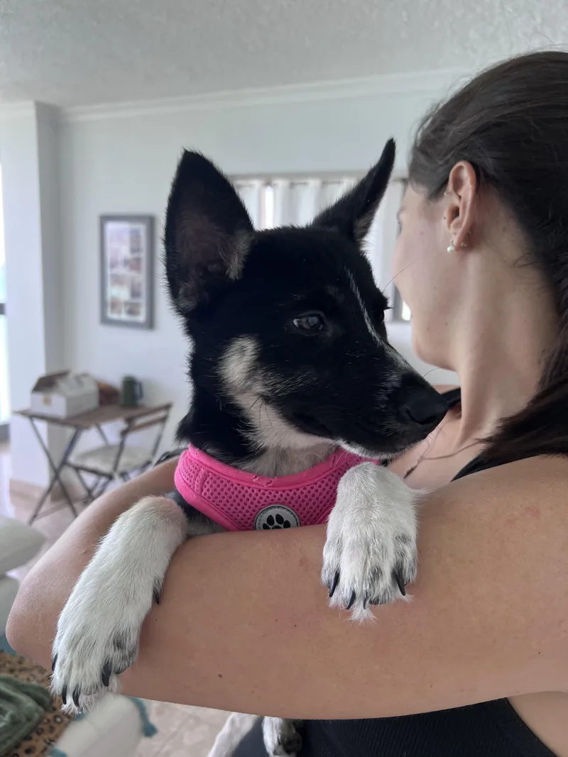 Siesta  Your Besta thumbnail 5