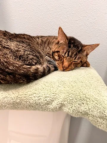 Spice  Co thumbnail 2