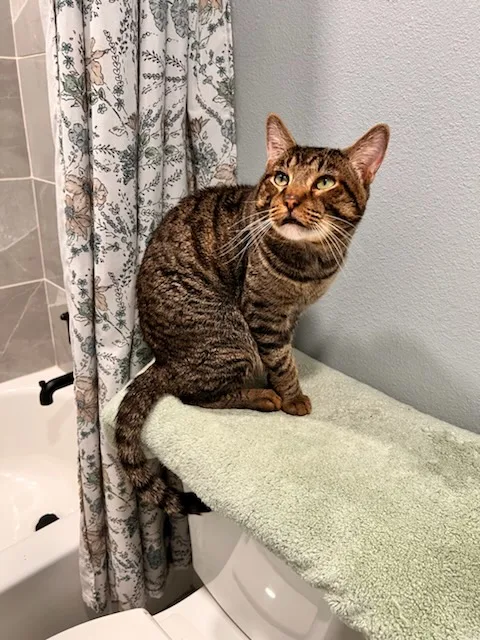 Spice  Co thumbnail 4