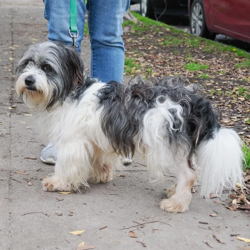 Gilligan thumbnail 3