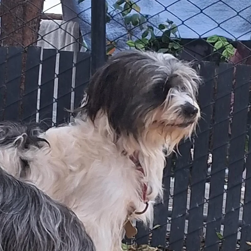 Gilligan thumbnail 5