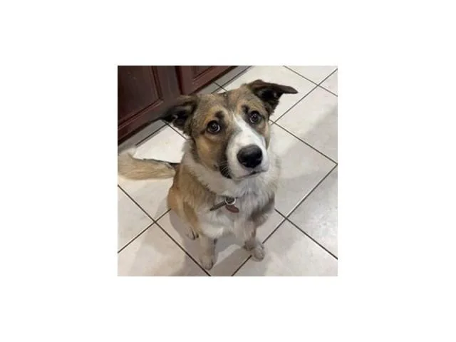 Waylon thumbnail 4