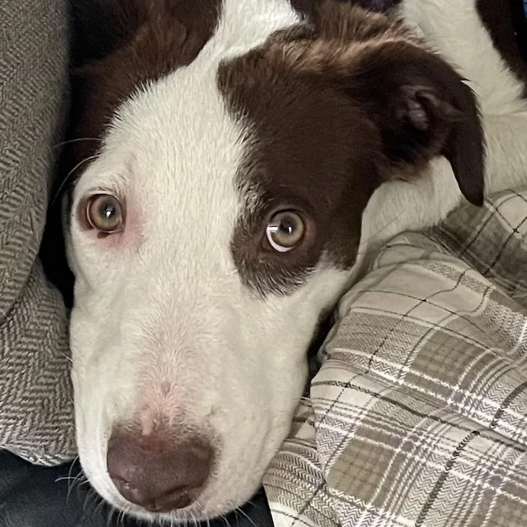 Zoey