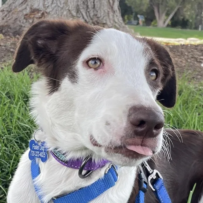 Zoey thumbnail 3