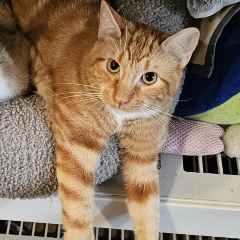 Pubert "bert" thumbnail 2