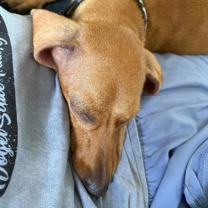 Gretchen thumbnail 2