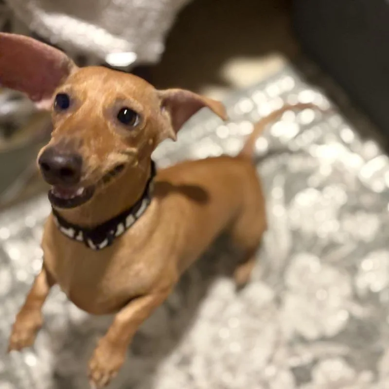 Gretchen thumbnail 5