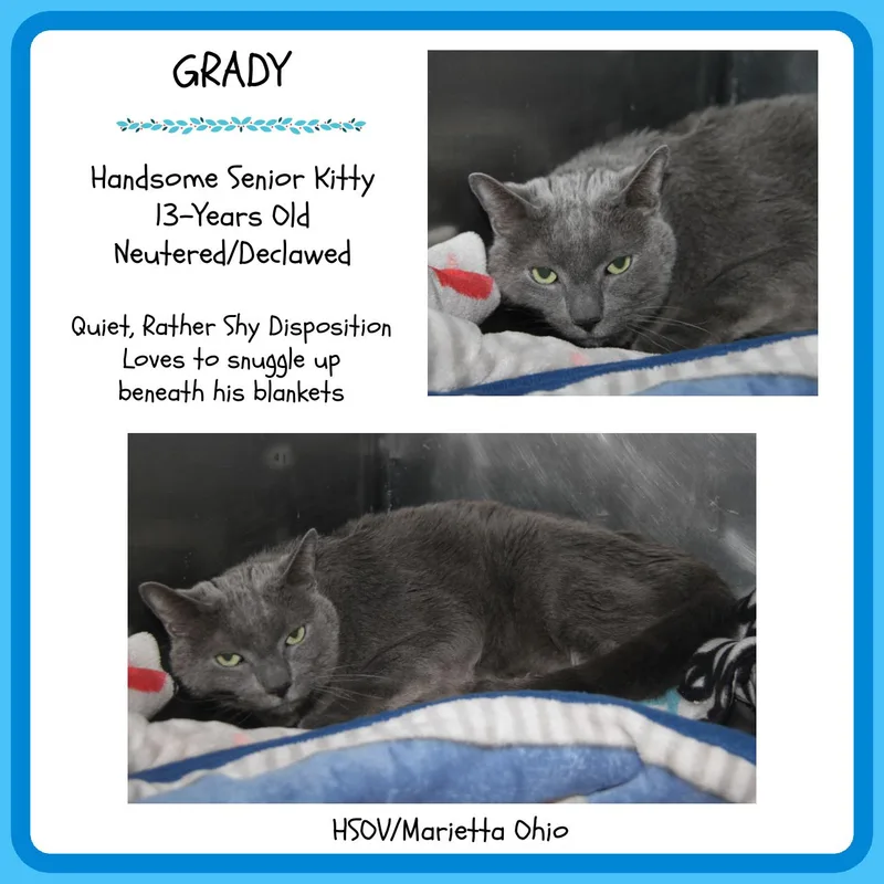 Grady thumbnail 2