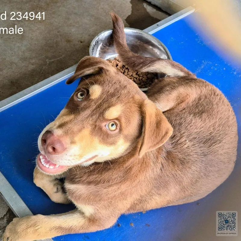 Winifred thumbnail 2