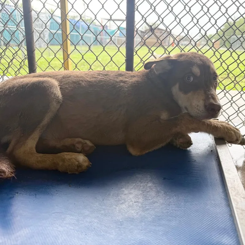 Winifred thumbnail 3