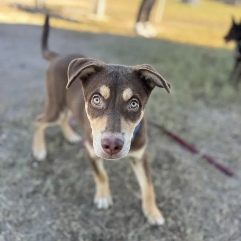 Winifred thumbnail 4