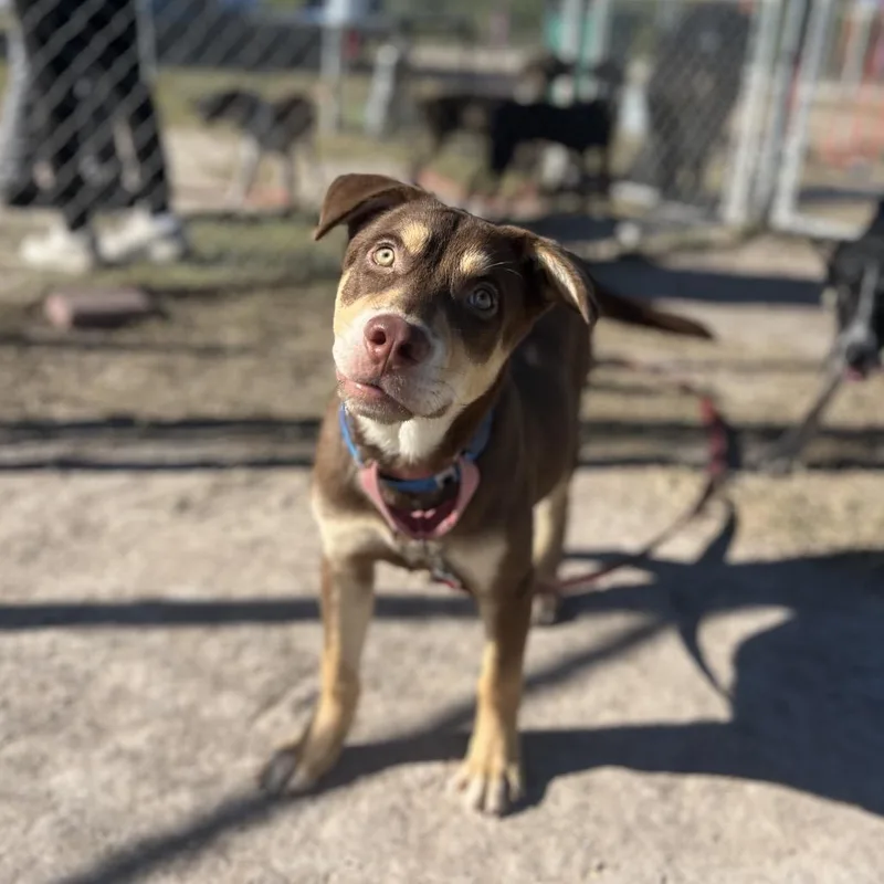 Winifred thumbnail 5