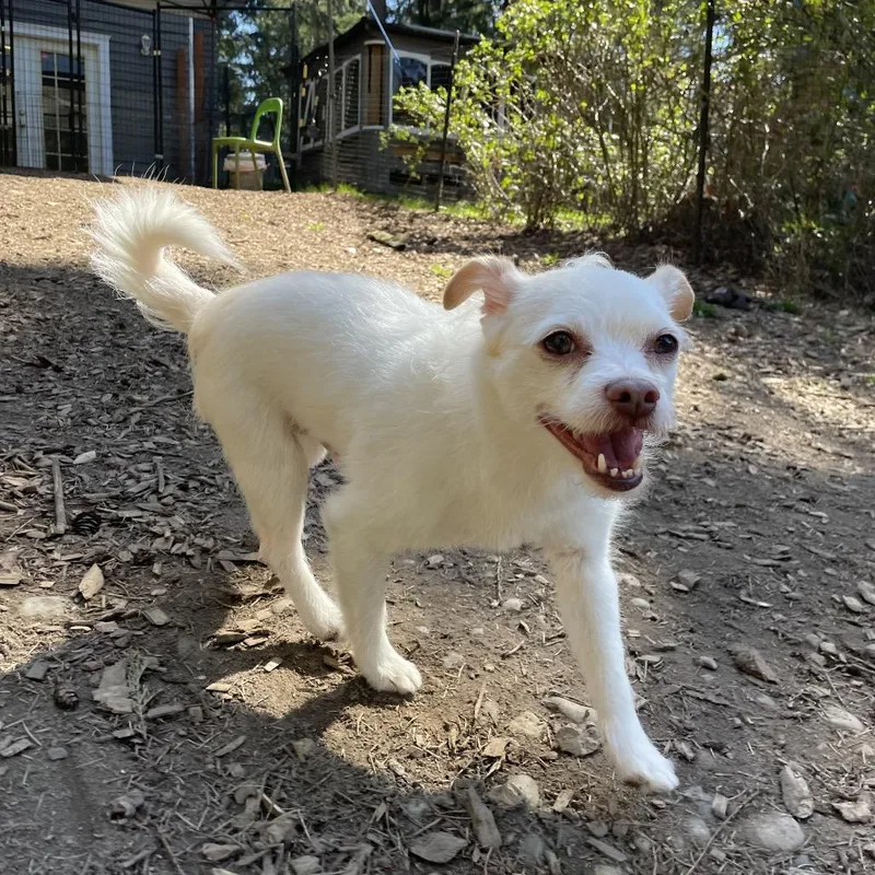 Hamilton thumbnail 2