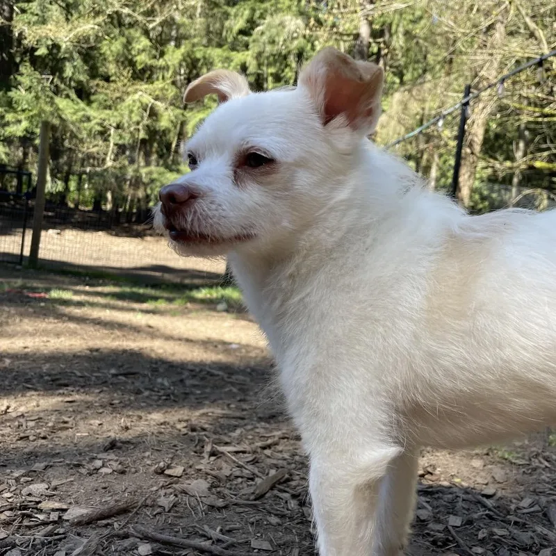 Hamilton thumbnail 3