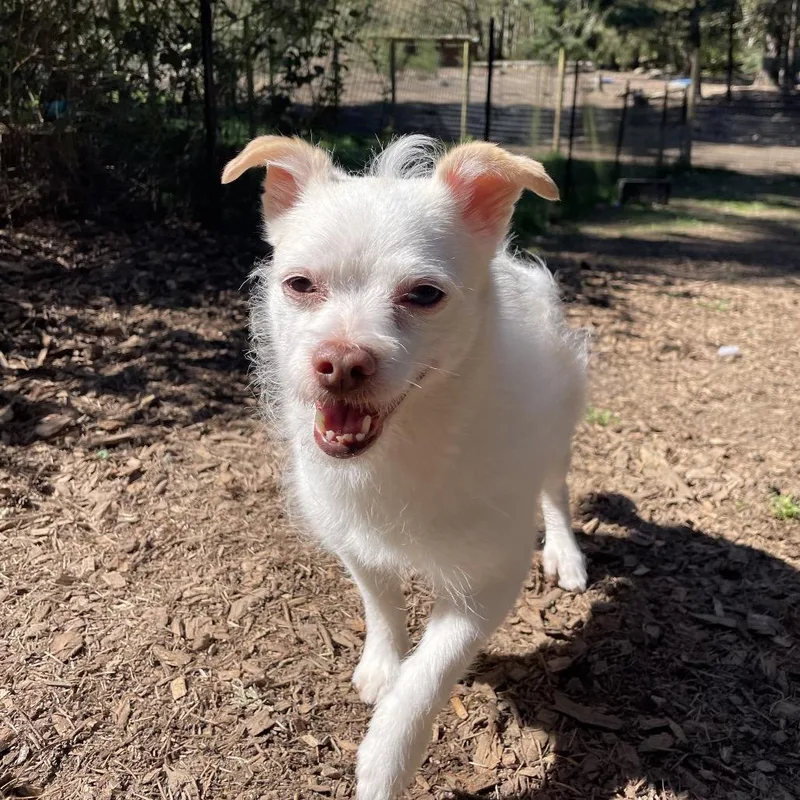 Hamilton thumbnail 4