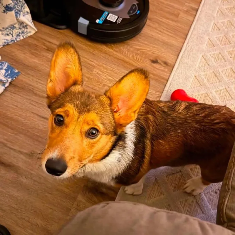 Benny