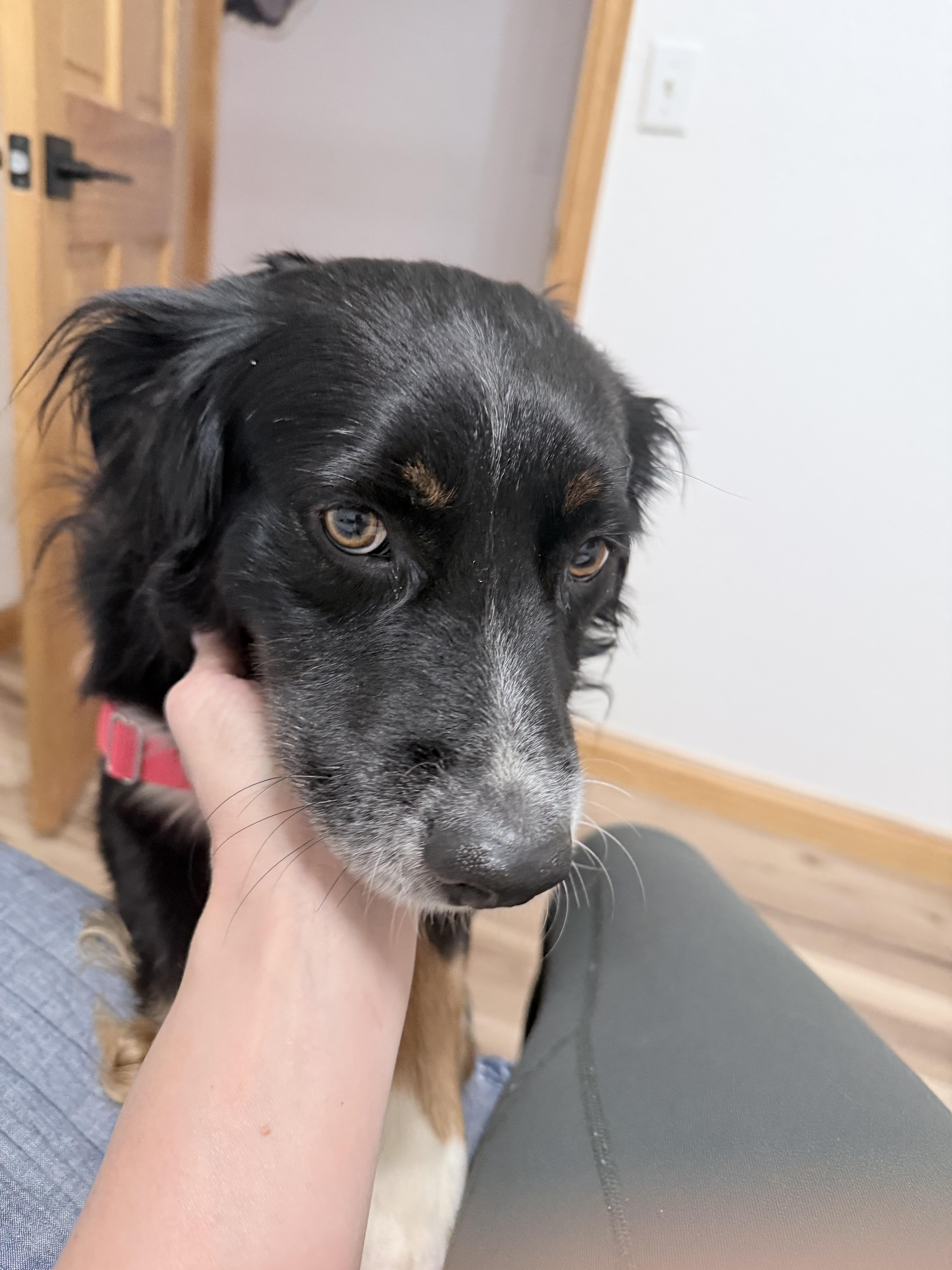 Tucker thumbnail 3