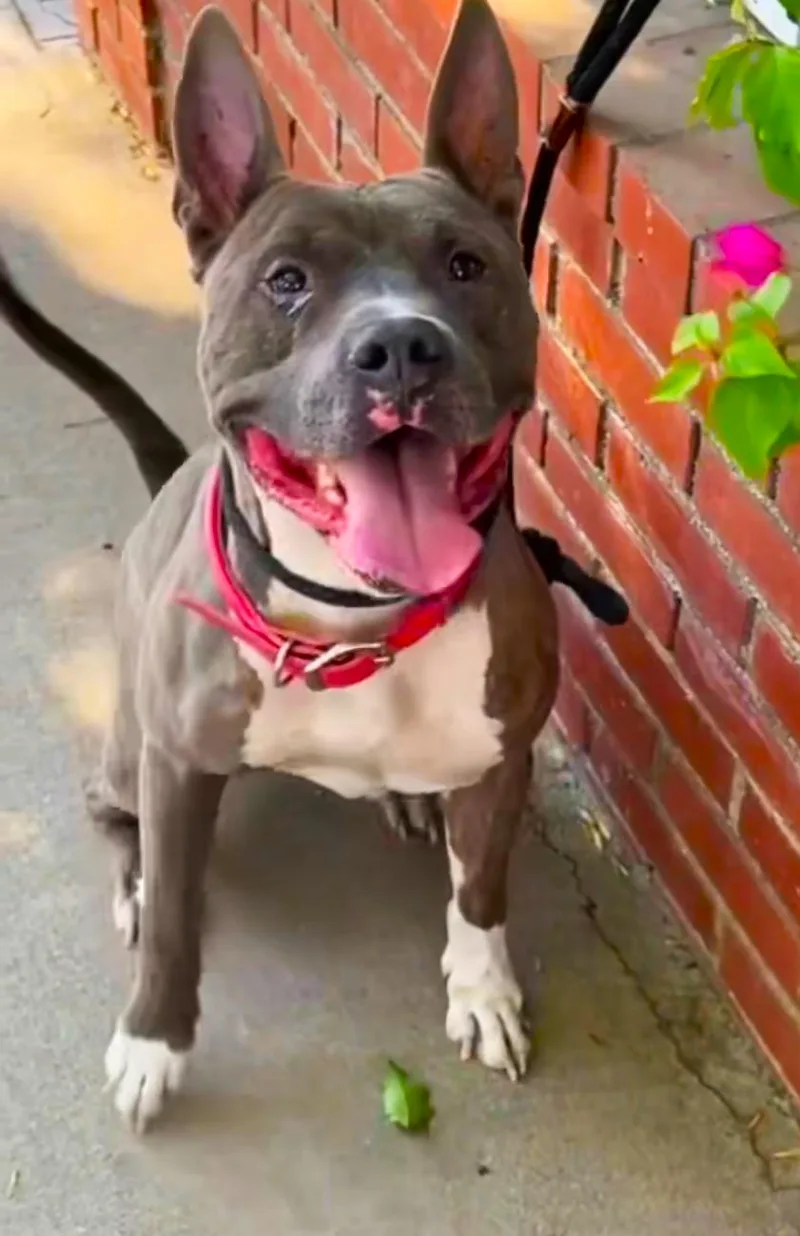 Irondale thumbnail 2