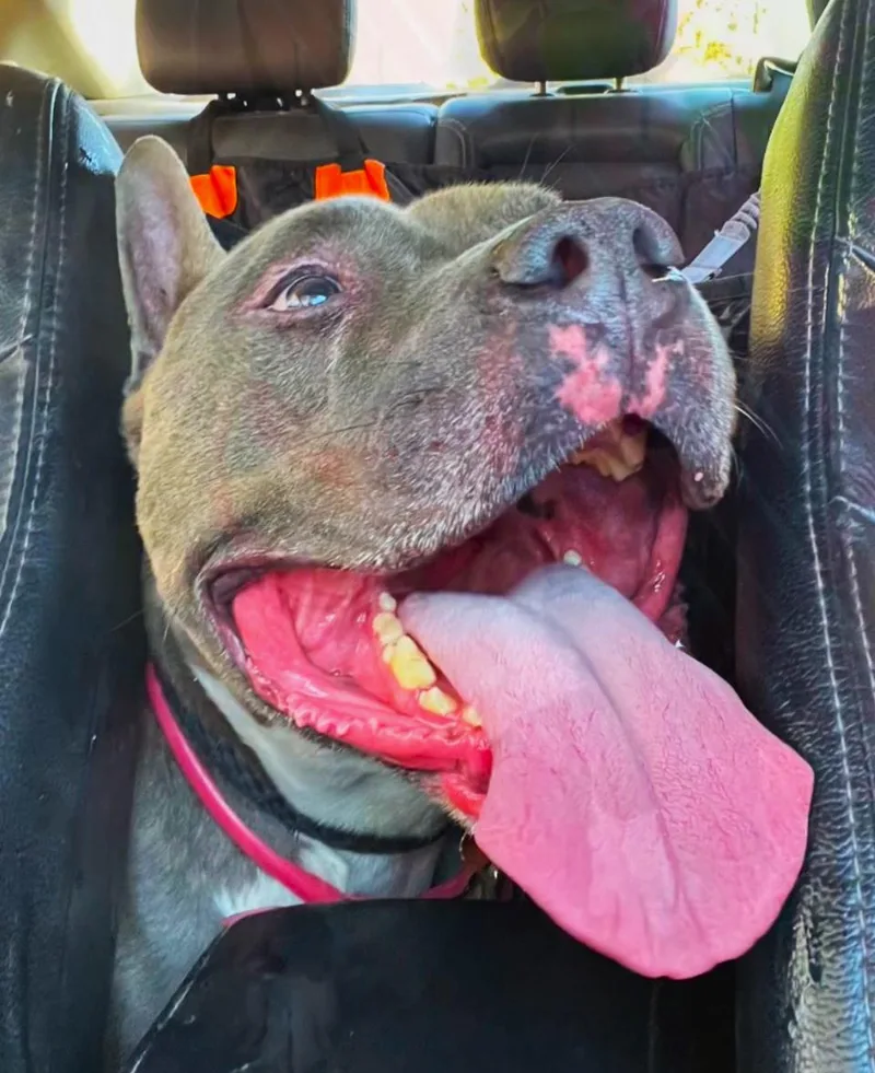 Irondale thumbnail 3