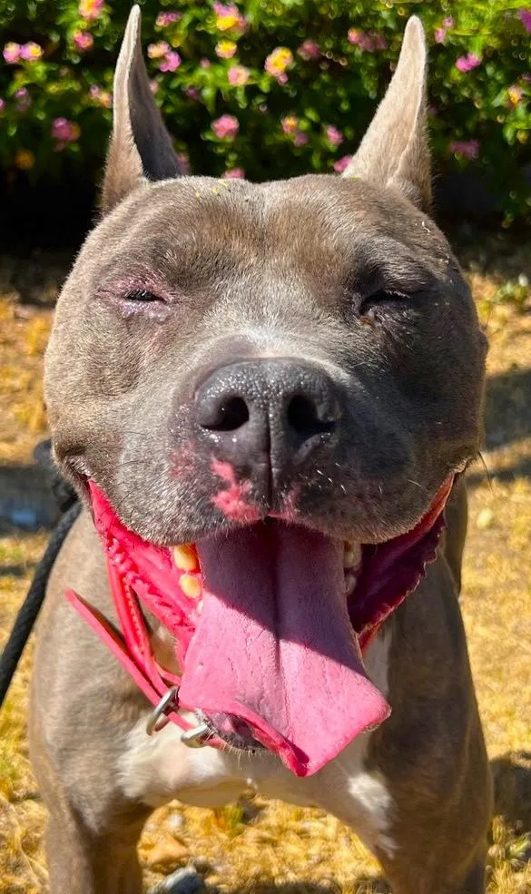 Irondale thumbnail 5