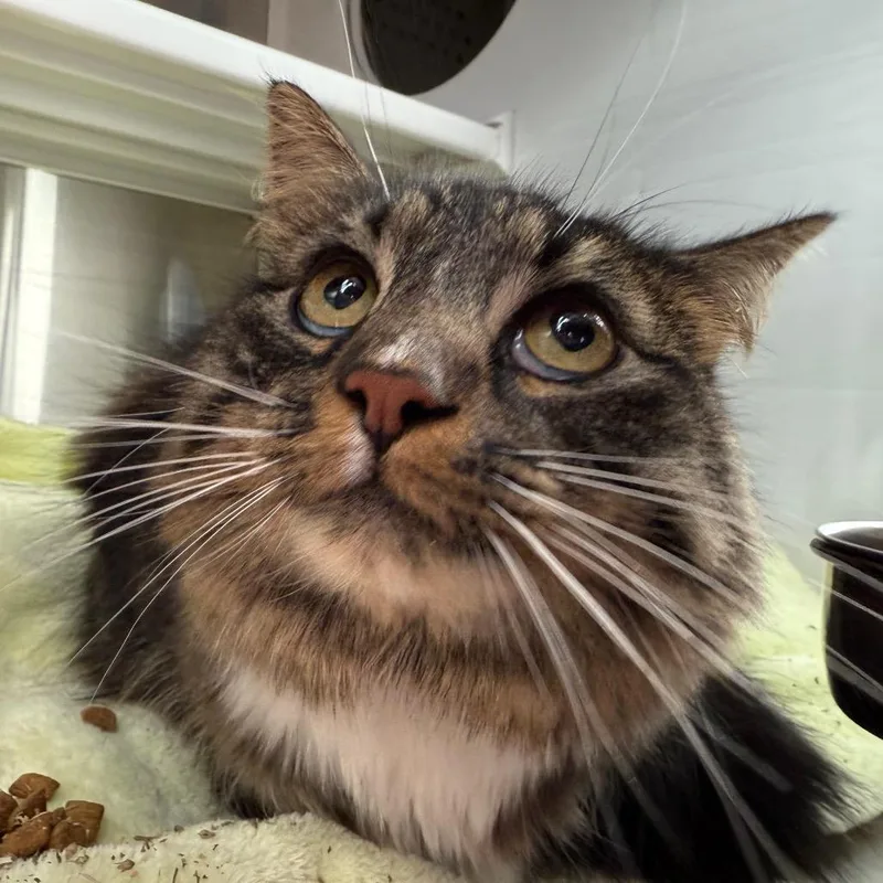 Hercules thumbnail 2