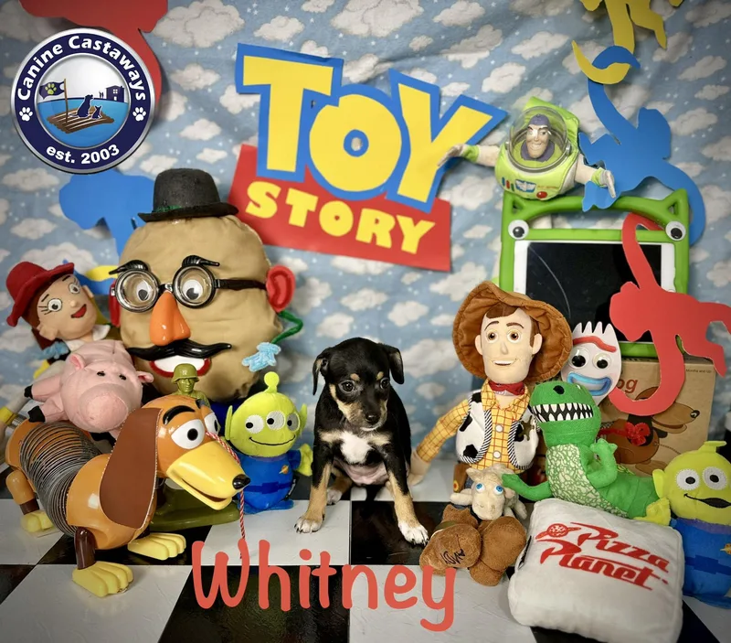 Whitney thumbnail 2
