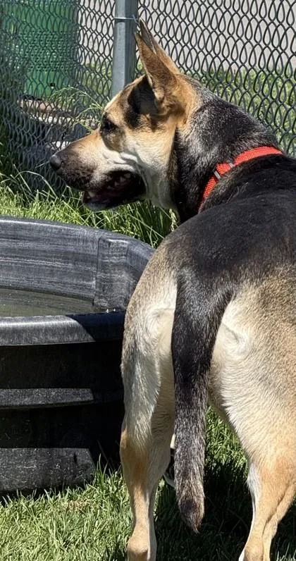 Marley