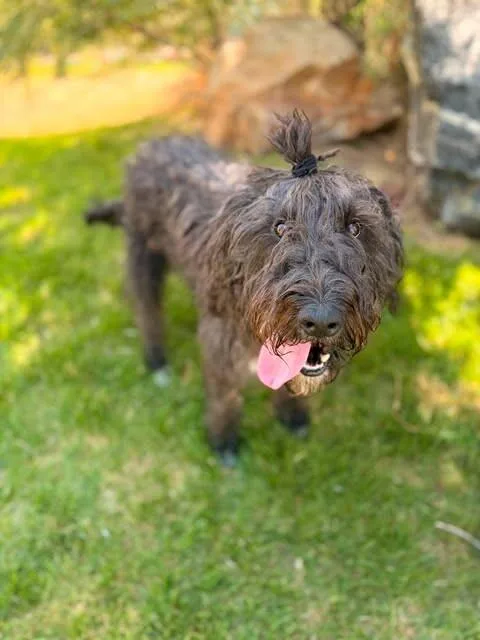 Milo
