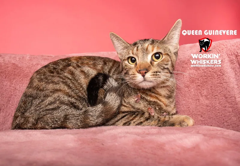Queen Guinevere