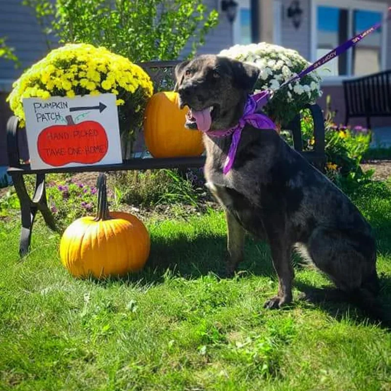 Princess thumbnail 4