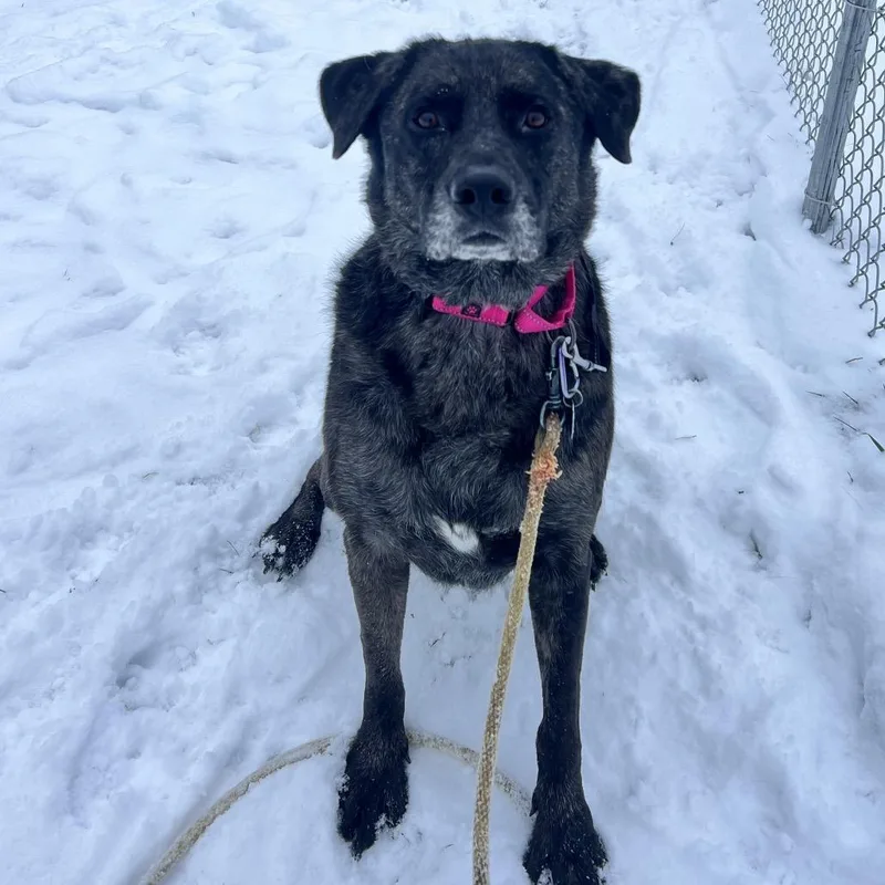 Princess thumbnail 6