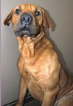 Wrinkles thumbnail 2