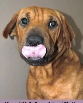 Wrinkles thumbnail 3