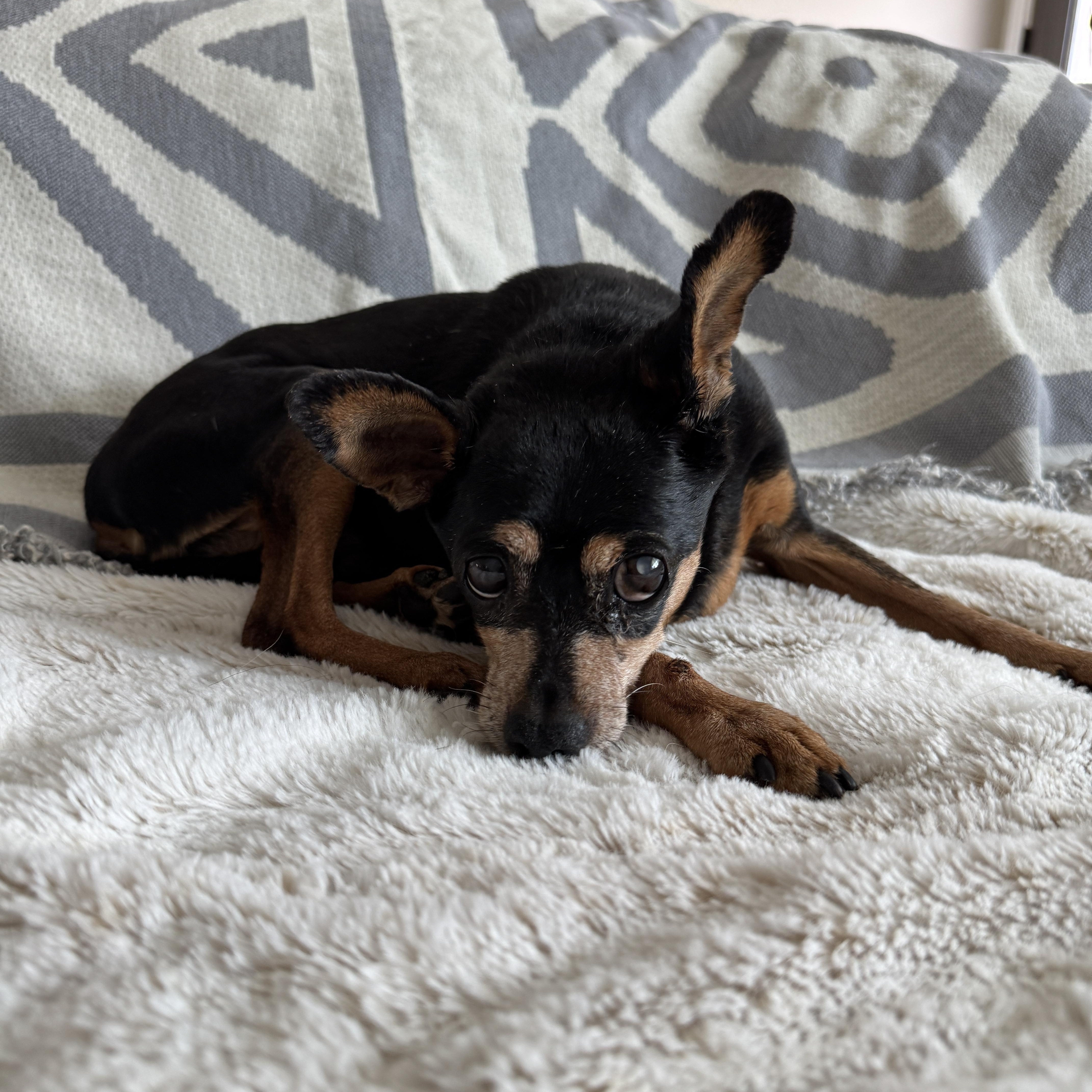 Phillipe thumbnail 2