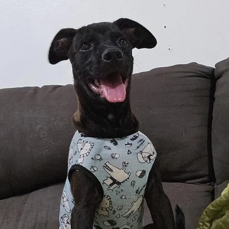 Bruno Max "happy To thumbnail 5