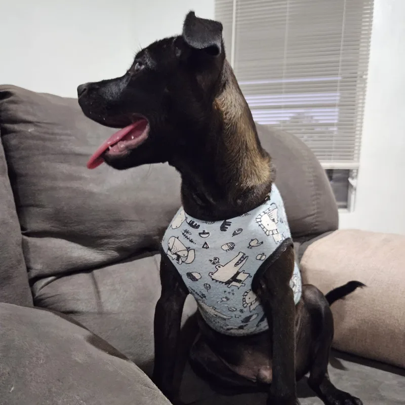 Bruno Max "happy To thumbnail 6