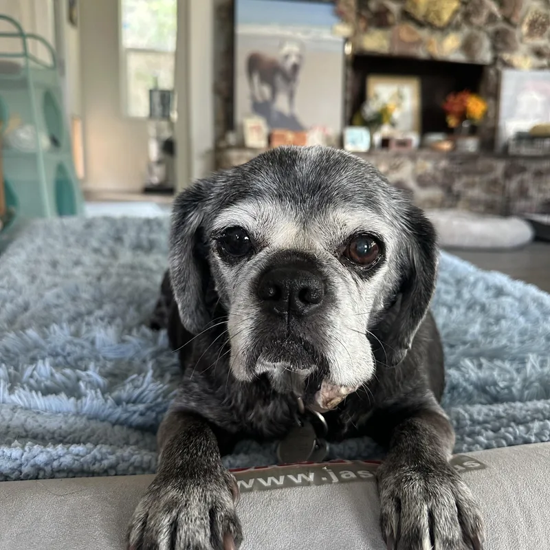 Brooklyn thumbnail 2