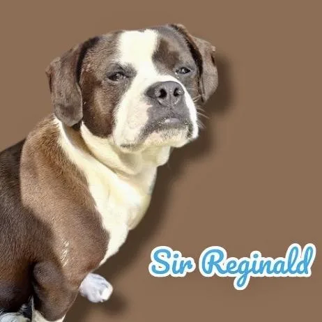 Reginald
