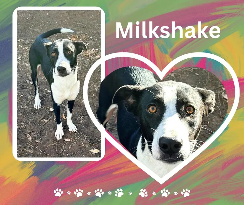 Milkshake thumbnail 3