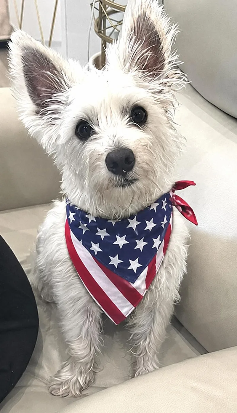 Max