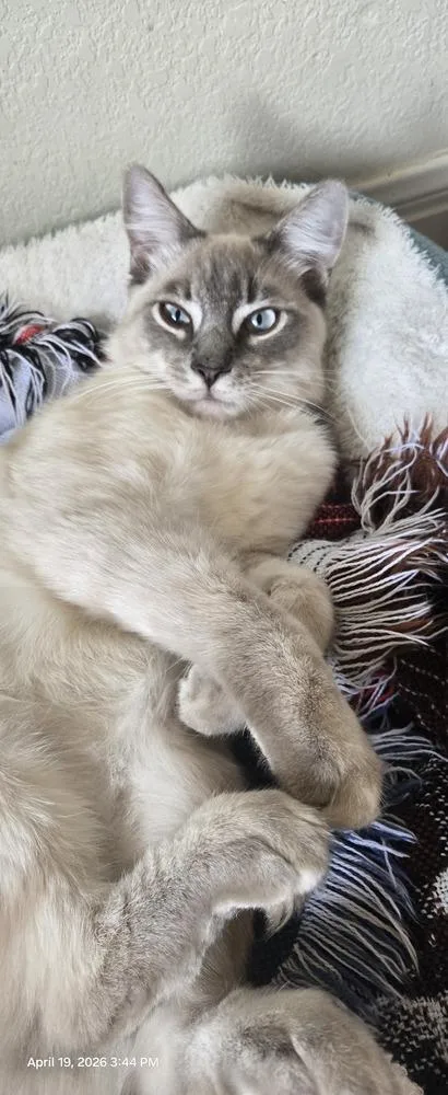 Gus