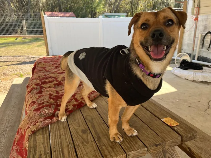 Little Man thumbnail 2